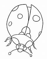 Coloring Ladybug Pages Printable Getdrawings sketch template