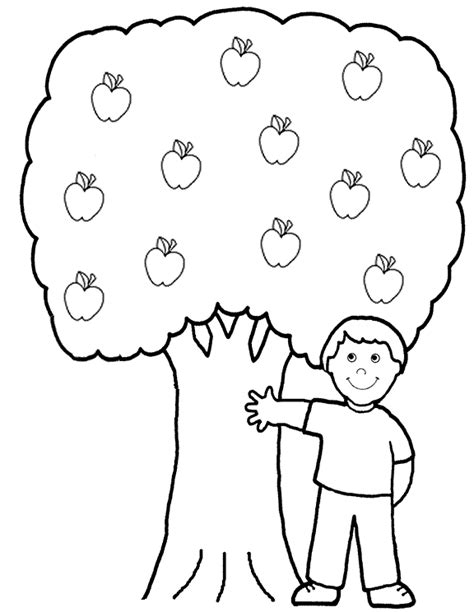 fruit tree coloring page sermonskids