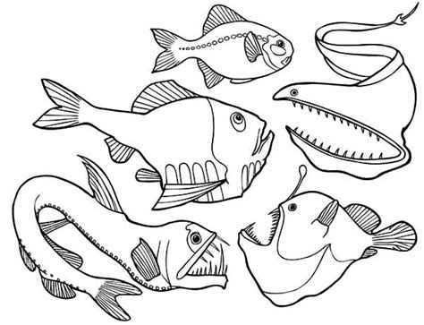 deep sea fish outlines images  pinterest outlines sea fish