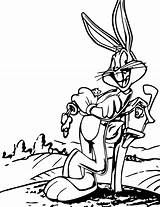 Looney Tunes Pepe Pew Ausmalbilder Wecoloringpage sketch template