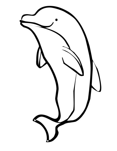 dolphin coloring page printable printable word searches