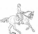 Lineart Pferde Tack Dressage Springreiten Ausdrucken Springen Foal sketch template
