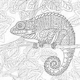 Mandala Coloring Pages Chameleon Animal Animals sketch template