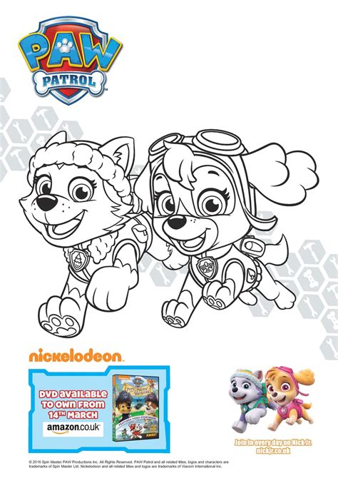 printable skye paw patrol coloring pages zimzimmer