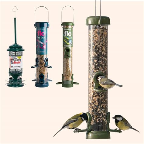 bird feeders living with birds