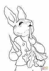 Rabbit Peter Coloring Pages Printable Eating Cottontail Radishes Colouring Potter Beatrix Print Printables Bunny Tale Jessica Color Crafts Supercoloring Easter sketch template