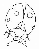 Ladybug Coloring Pages Kids Printable sketch template