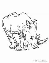 Coloring Rhino Charging Pages African Animals Outline Drawing 98kb 470px Getdrawings Rhinoceros Horned Two Choose Board Animal sketch template