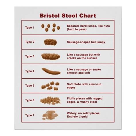 bristol scale chart   conscious nutrition  heather fleming