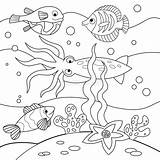 Hippocampus sketch template