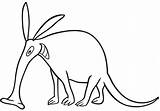 Aardvark Coloring Pages Printable sketch template