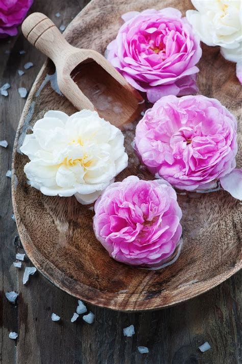 concept  spa treatment  roses  salt stock image image