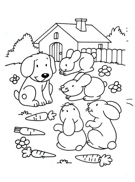 pets dog  rabits coloring page  printable coloring pages  kids
