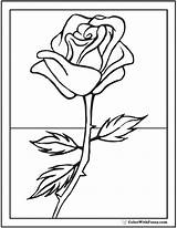 Rose Coloring Pages Summer Sheets Kids Bud Pdf Stem Template Long Printable Simple Printables Colorwithfuzzy sketch template