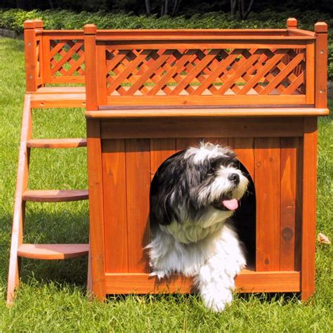 adorable dog houses       buy