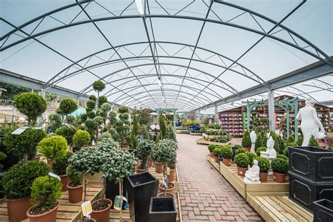 planteria  notcutts tunbridge wells garden center displays plant