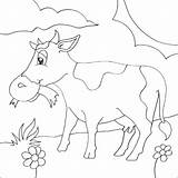Cow Colouring Coloring Pages Animal Eating Grass Print sketch template