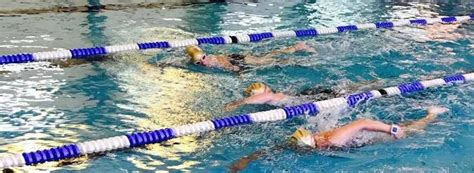 stroke analysis swim coaching   percent swimming