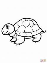 Coloring Tortoise Pages Cute Color Printable Kids sketch template