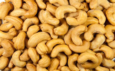 cashew  fruit   nut wonderopolis