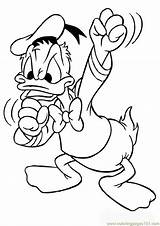 Donald Bojanke Miki Ducks Minnie Maus Kleurplaten Pajo Patak sketch template