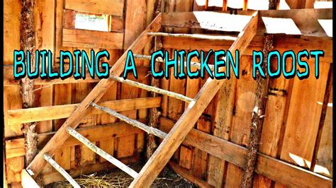 chicken coop build easy diy chicken roost
