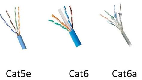 difference  cat  cat pc mind