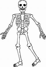 Squelette Humain Coloriages Esqueleto Benjaminpech Squelettes Concernant Greatestcoloringbook Japonesas Olas Huesos Esqueletos Infantil épinglé sketch template