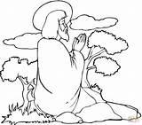 Jesus Praying Coloring Printable Pages Getcolorings sketch template
