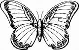 Butterfly Line Drawing Clipart Drawings Butterflies Clip Sketch Sketches Cliparts Monarch Clipartbest Simple Collection Outline Library Svg Use Resource Getdrawings sketch template