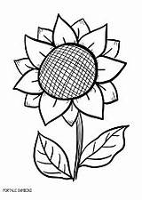 Colorare Girasoli Girasole Disegno Sunflower Portale Disegnare Fiore Portalebambini sketch template