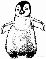 Penguin Coloring Pages Baby Kids Winter Penguins Printable Birds Color Preschoolers Rockhopper Cool2bkids Print Pittsburgh Getcolorings Drawings Epic Chinstrap Drawing sketch template