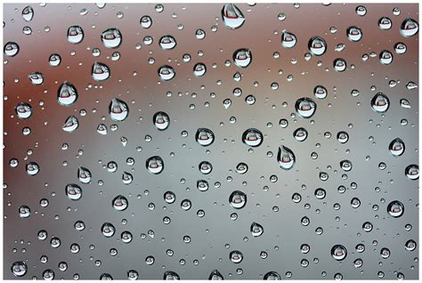 regen regen regen foto bild regenfotos wetter motive bilder auf fotocommunity