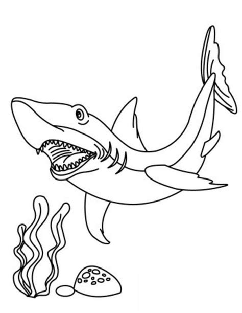 coloring pages tiger shark printable  kids adults