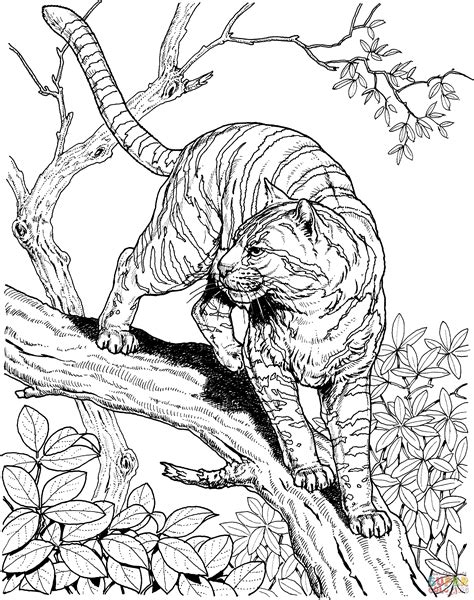 tiger   jungle coloring page  printable coloring pages
