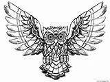 Owl Coloring Drawing Pages Owls Advanced Color Printable Raw Kids Adults Animals Print Drawings Book Children Beautiful Incredible Justcolor Adult sketch template