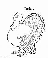 Coloring Pages Thanksgiving Turkey Book Letter Printable Alphabet Preschool Abc Print Printing Help Farm sketch template