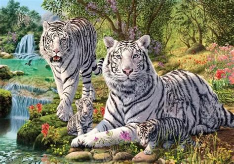 gambar harimau kartun jawa sumatera hitam putih berwarna