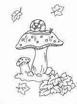 Coloring Pages Mushroom Mushrooms Automne Coloriage Choose Board sketch template