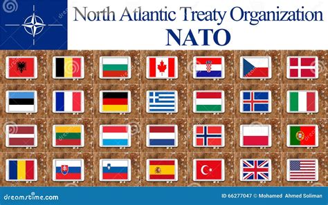 nato countries flags stock illustration image