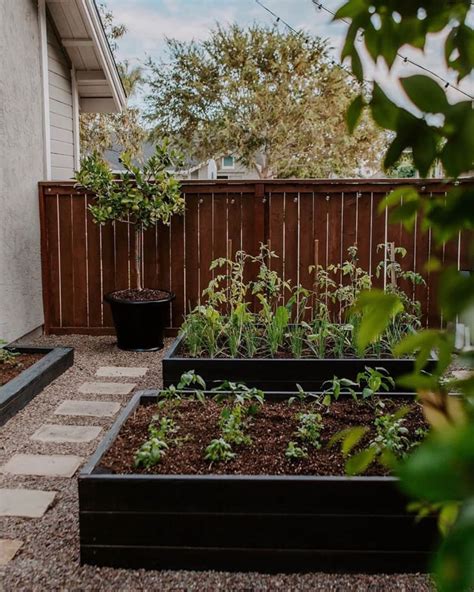 patio garden ideas   grow plants   small porch apartment