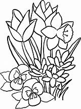 Bloemen Kleurplaten Lente Boek Bladzijden Volwassenen sketch template