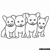 Coloring Puppy Litter Husky Pages Puppies Drawing Baby Online Animals Thecolor Getdrawings Drawings 7kb 560px sketch template