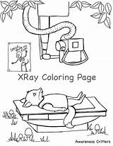 Coloring Pages Xray Comments sketch template