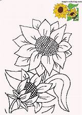Sunflower Coloring Pages Sunflowers Magic Flower Patterns Painting Flowers Drawing Plants Printables Adults Pattern Colouring Embroidery Clipart Choose Board sketch template