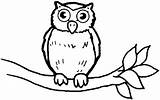 Coloring Owl Pages Bird Print sketch template