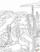 Coloring National Park Coyote Pages Saguaro Howling Florida State Symbols Mountain Printable Arizona Teton Drawing Zion Supercoloring Categories sketch template