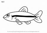 Minnow Fish Kids Draw Drawing Template Step Coloring sketch template