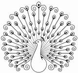 Peacock Drawing Outline Coloring Pages Vector Painting Dot Wordpress sketch template