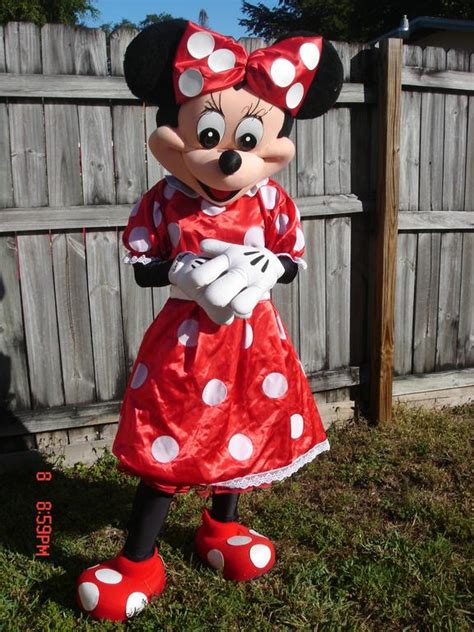 minnie mouse party characters  kids